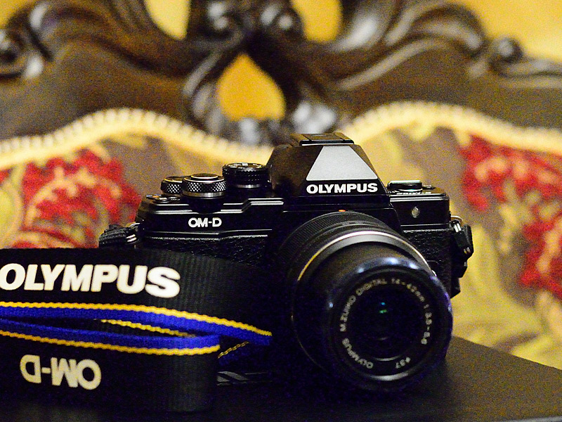 Olympus OM-D E-M10 Mark II. 1 - DSC_1902NOGS.jpg