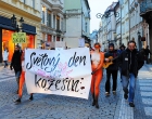 Демонстрация в Праге. Svetovy Den Kozesin.