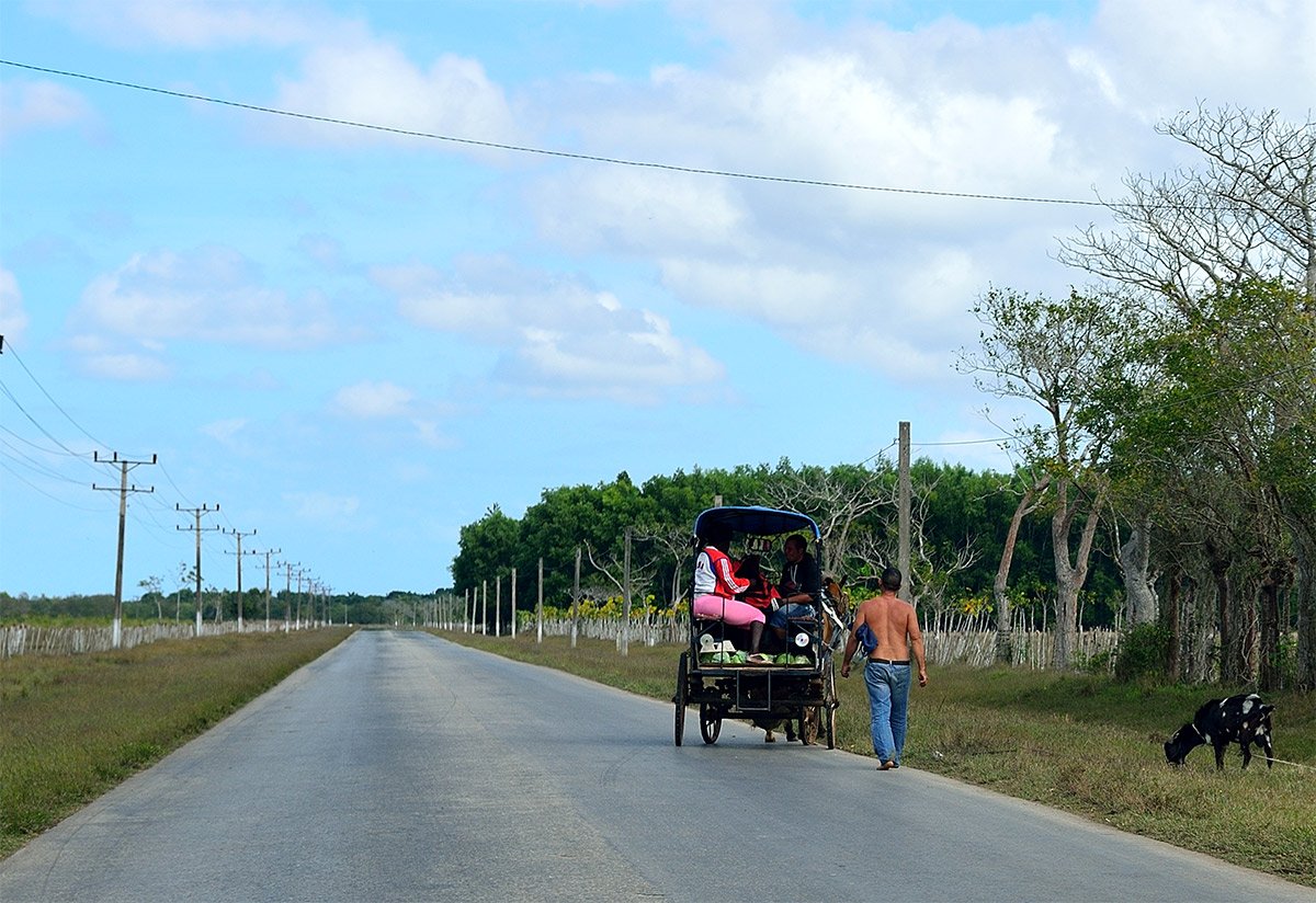 Варадеро - Сагуа-Ла-Гранде. - DSC_7124NF.jpg