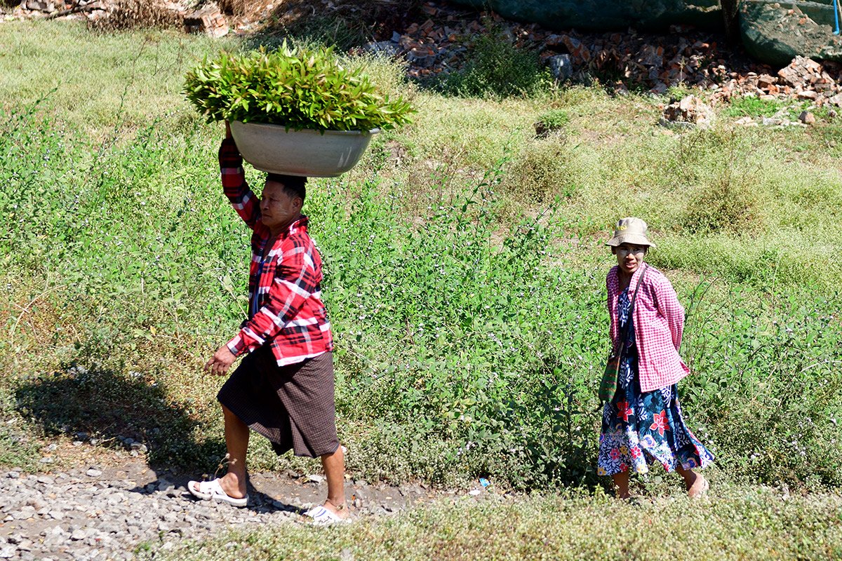 Янгон. Кольцевая железная дорога. Yangon Circular Railway. 108 - 108_DSC_6268_00001F.jpg