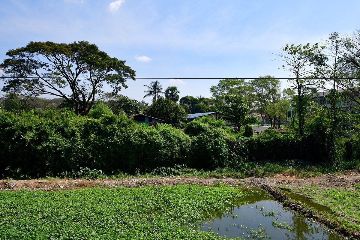 Янгон. Кольцевая железная дорога. Yangon Circular Railway. 118 - 118_DSC_6358_00001F.jpg