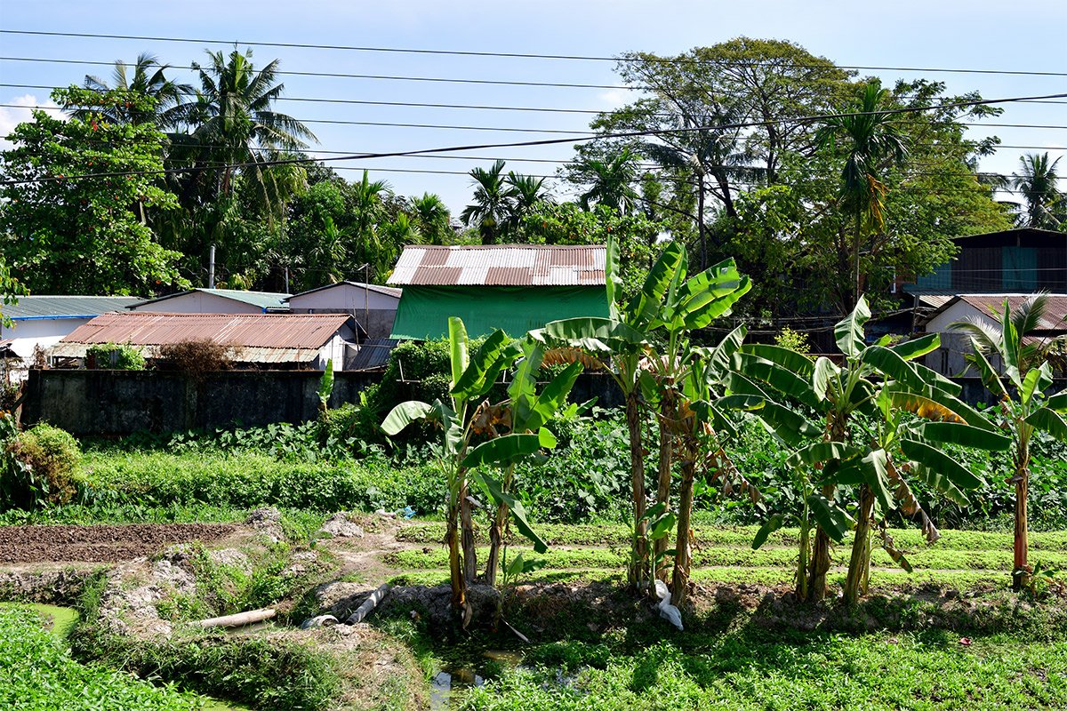 Янгон. Кольцевая железная дорога. Yangon Circular Railway. 126 - 126_DSC_6390_00001F.jpg