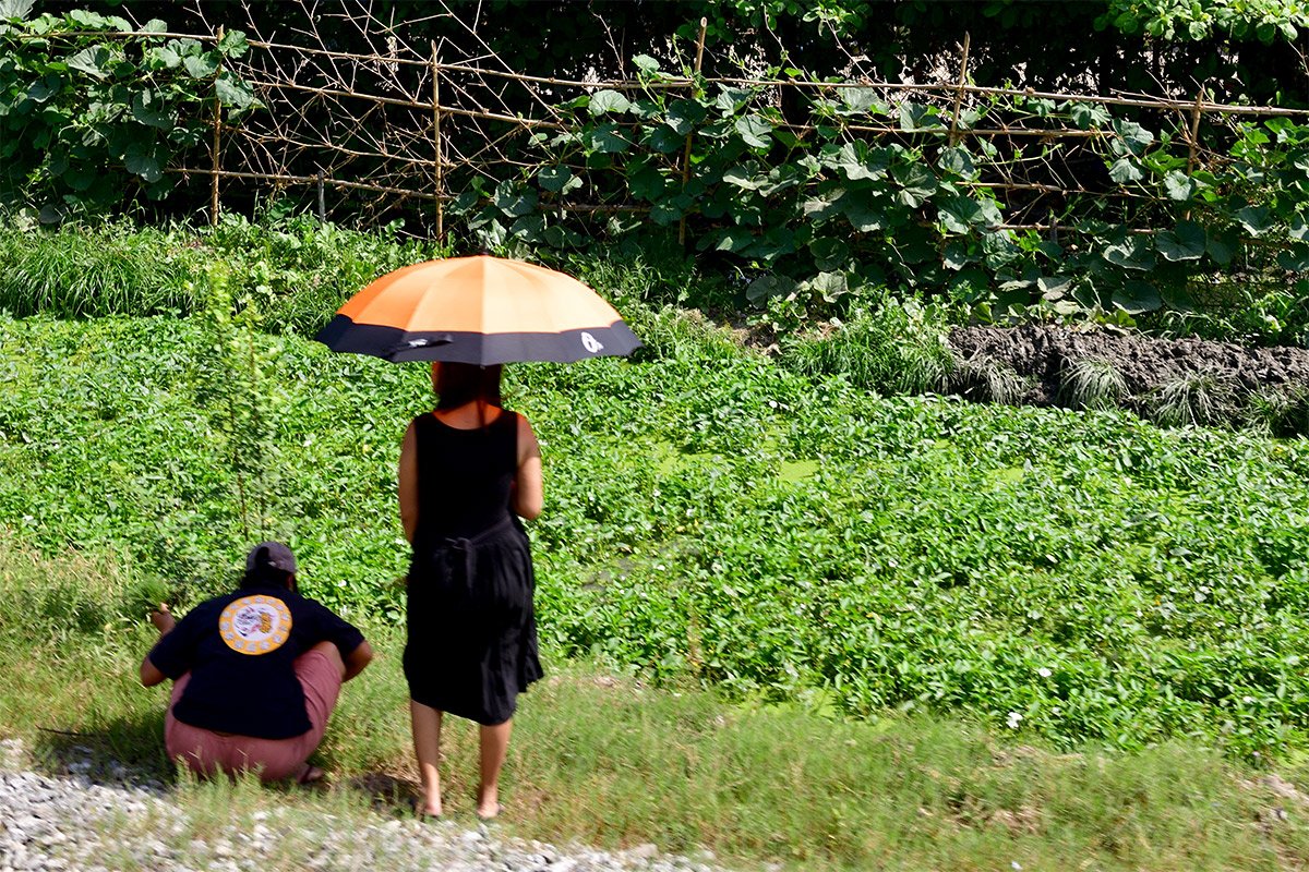 Янгон. Кольцевая железная дорога. Yangon Circular Railway. 133 - 133_DSC_6434_00001F.jpg