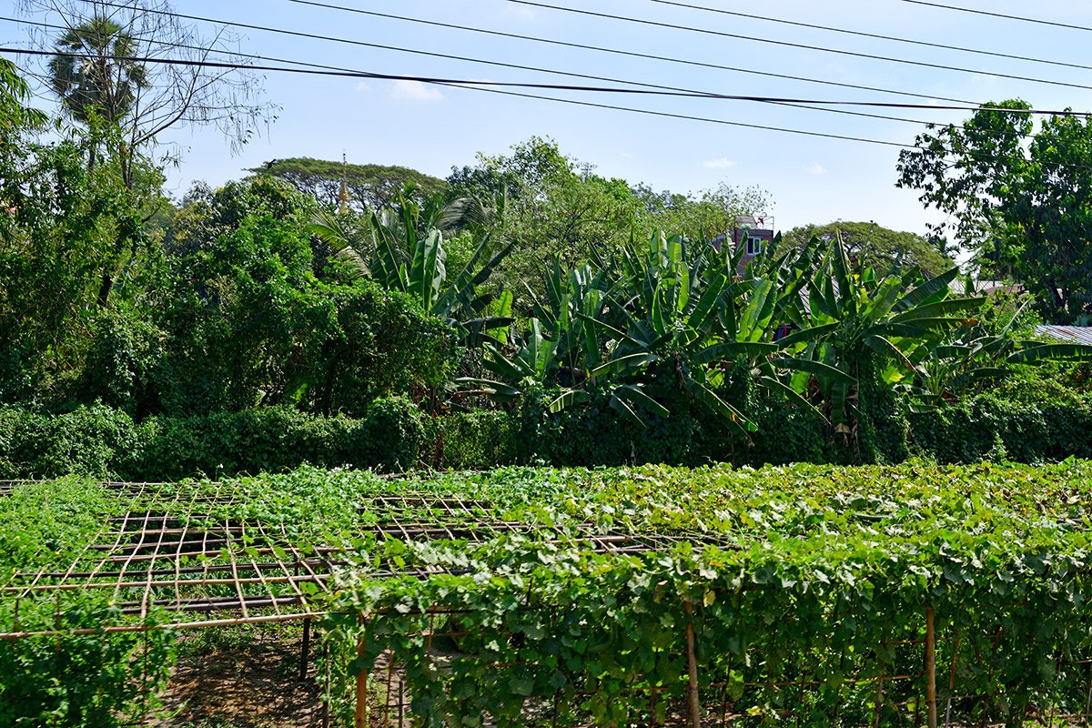 Янгон. Кольцевая железная дорога. Yangon Circular Railway. 134 - 134_DSC_6415_00001F.jpg