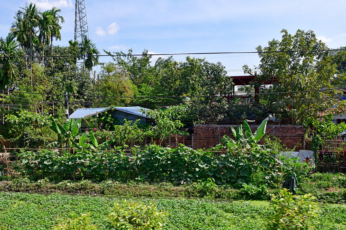 Янгон. Кольцевая железная дорога. Yangon Circular Railway. 137 - 137_DSC_6429_00001F.jpg