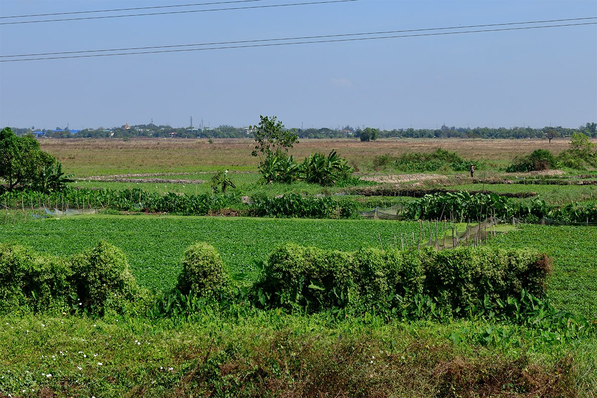 Янгон. Кольцевая железная дорога. Yangon Circular Railway. 168 - 168_DSC_6574_00001_01F.jpg