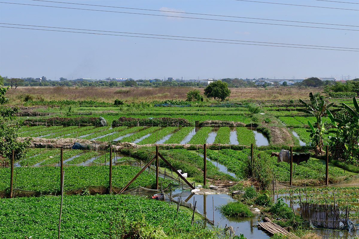 Янгон. Кольцевая железная дорога. Yangon Circular Railway. 170 - 170_DSC_6579_00001F.jpg