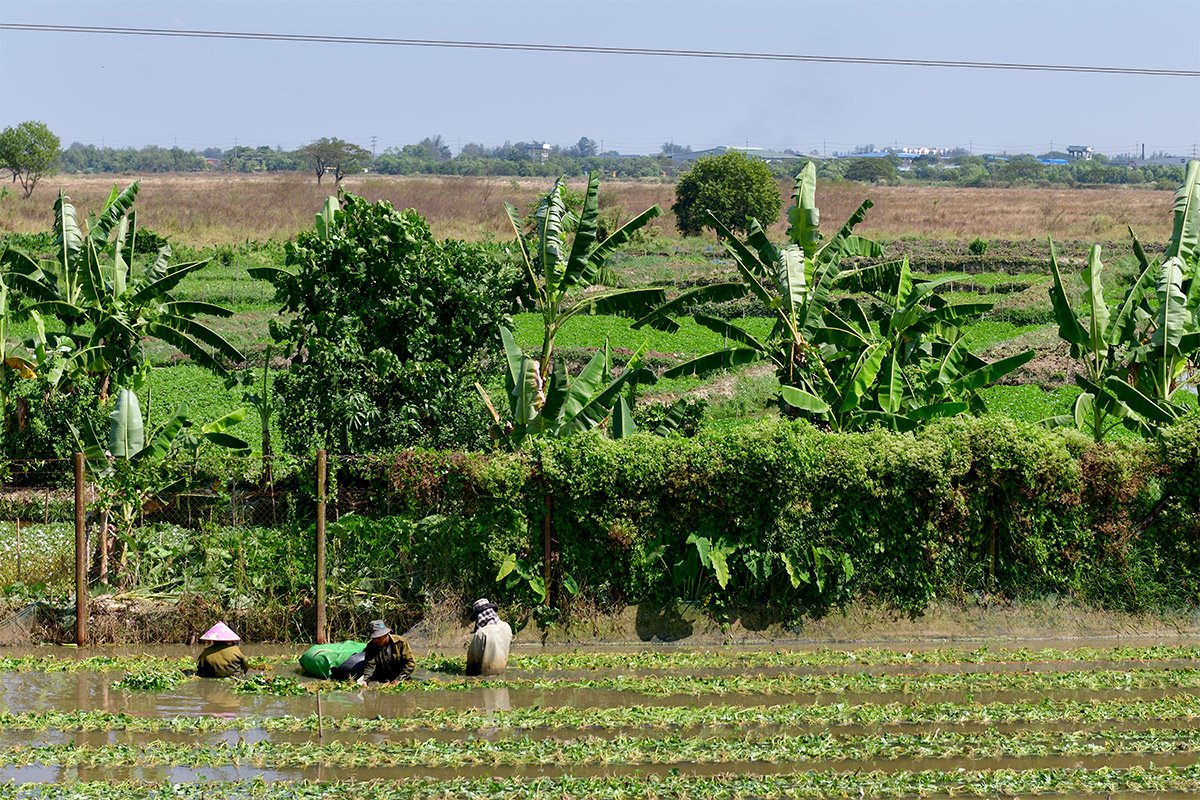 Янгон. Кольцевая железная дорога. Yangon Circular Railway. 173 - 173_DSC_6584_00001F.jpg