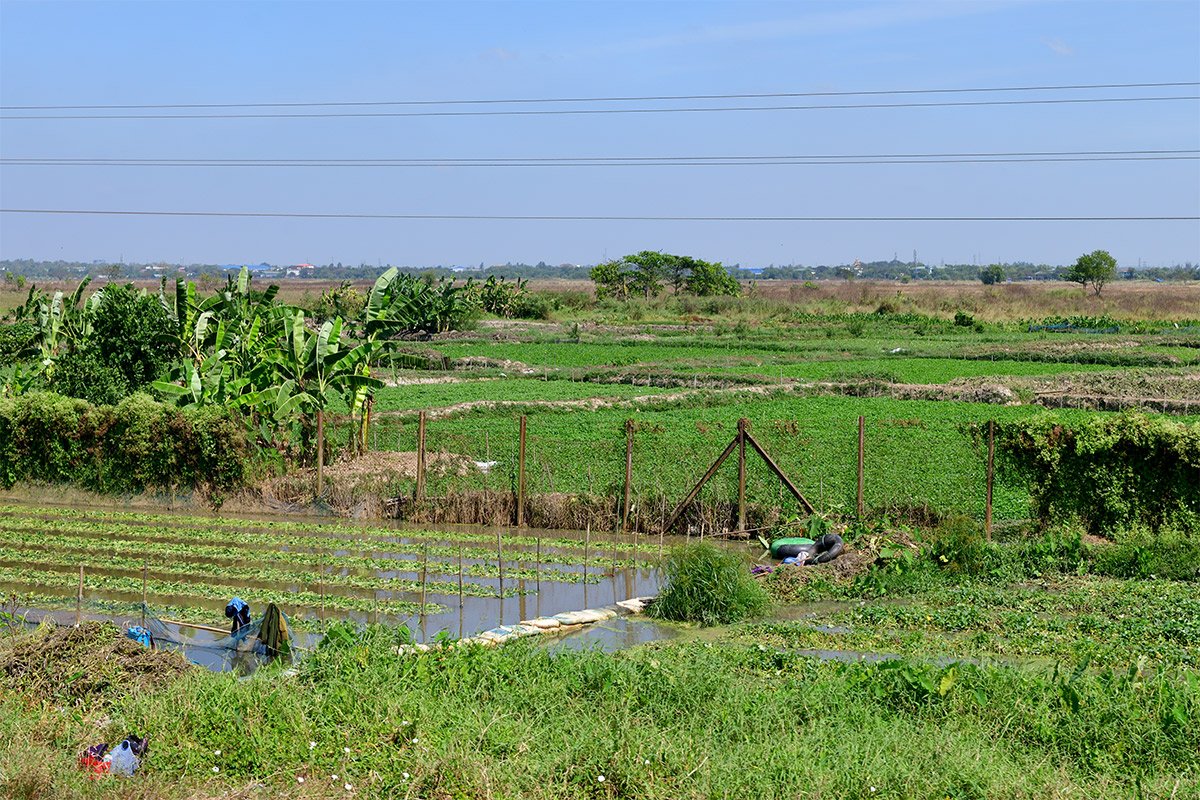 Янгон. Кольцевая железная дорога. Yangon Circular Railway. 174 - 174_DSC_6589_00001F.jpg