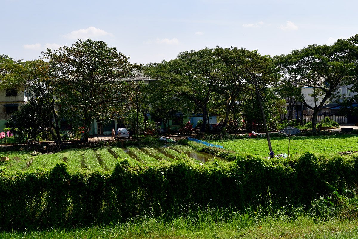 Янгон. Кольцевая железная дорога. Yangon Circular Railway. 177 - 177_DSC_6607_00001F.jpg