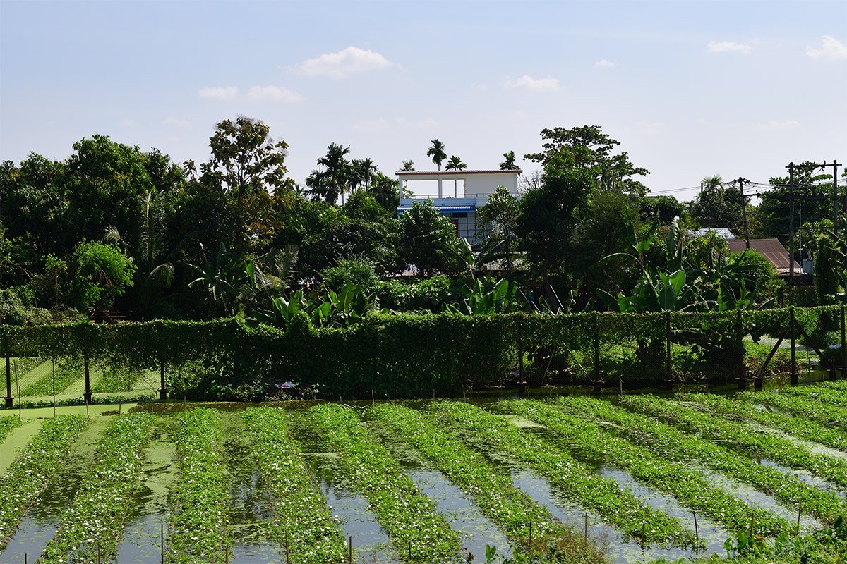 Янгон. Кольцевая железная дорога. Yangon Circular Railway. 178 - 178_DSC_6611_00001F.jpg