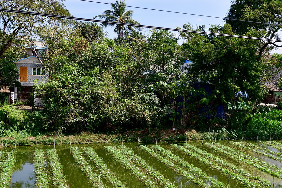 Янгон. Кольцевая железная дорога. Yangon Circular Railway. 183 - 183_DSC_6632_00001F.jpg