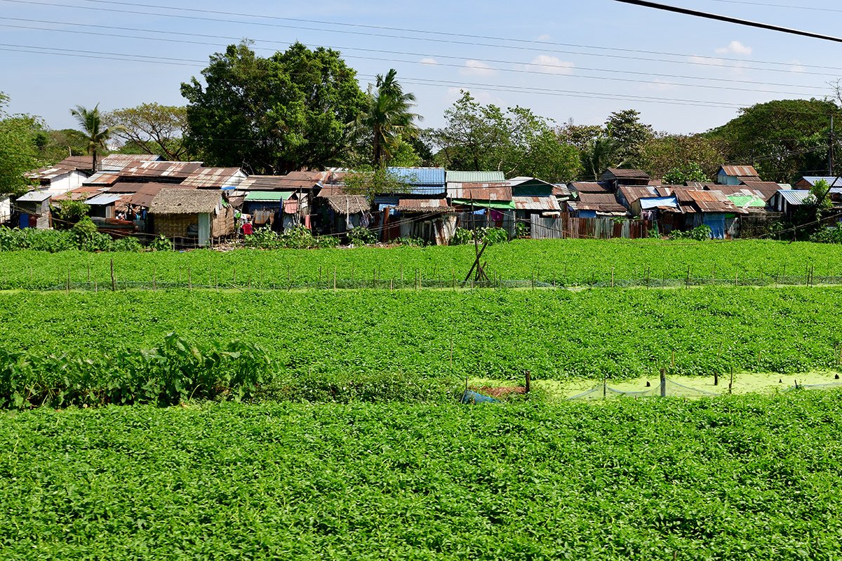 Янгон. Кольцевая железная дорога. Yangon Circular Railway. 190 - 190_DSC_6657_00001F.jpg