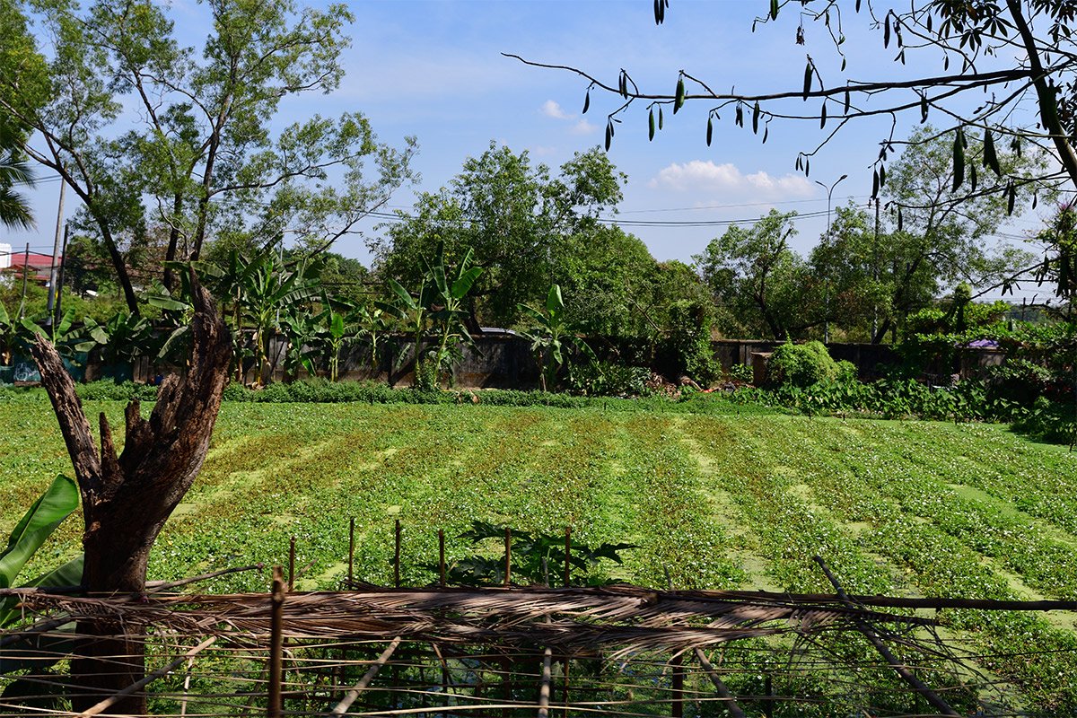 Янгон. Кольцевая железная дорога. Yangon Circular Railway. 205 - 205_DSC_6716_00001F.jpg