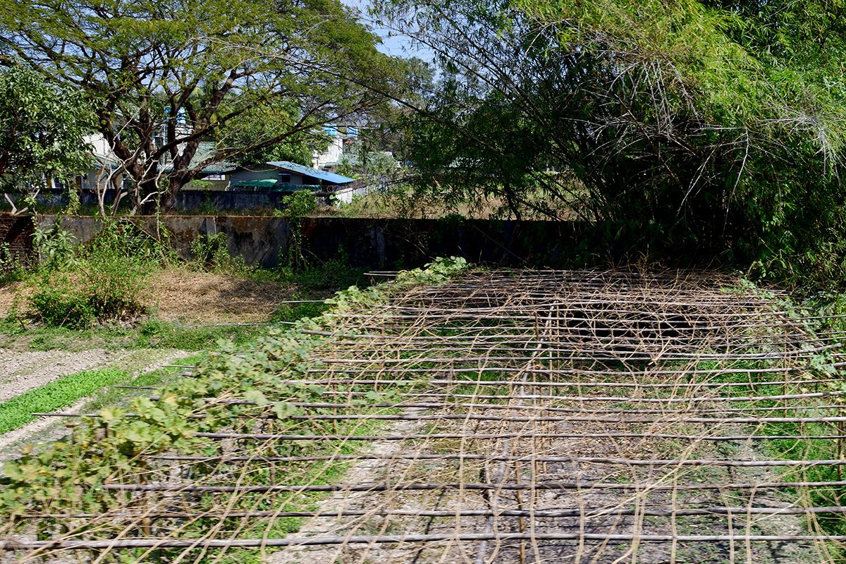 Янгон. Кольцевая железная дорога. Yangon Circular Railway. 215 - 215_DSC_6755_00001F.jpg