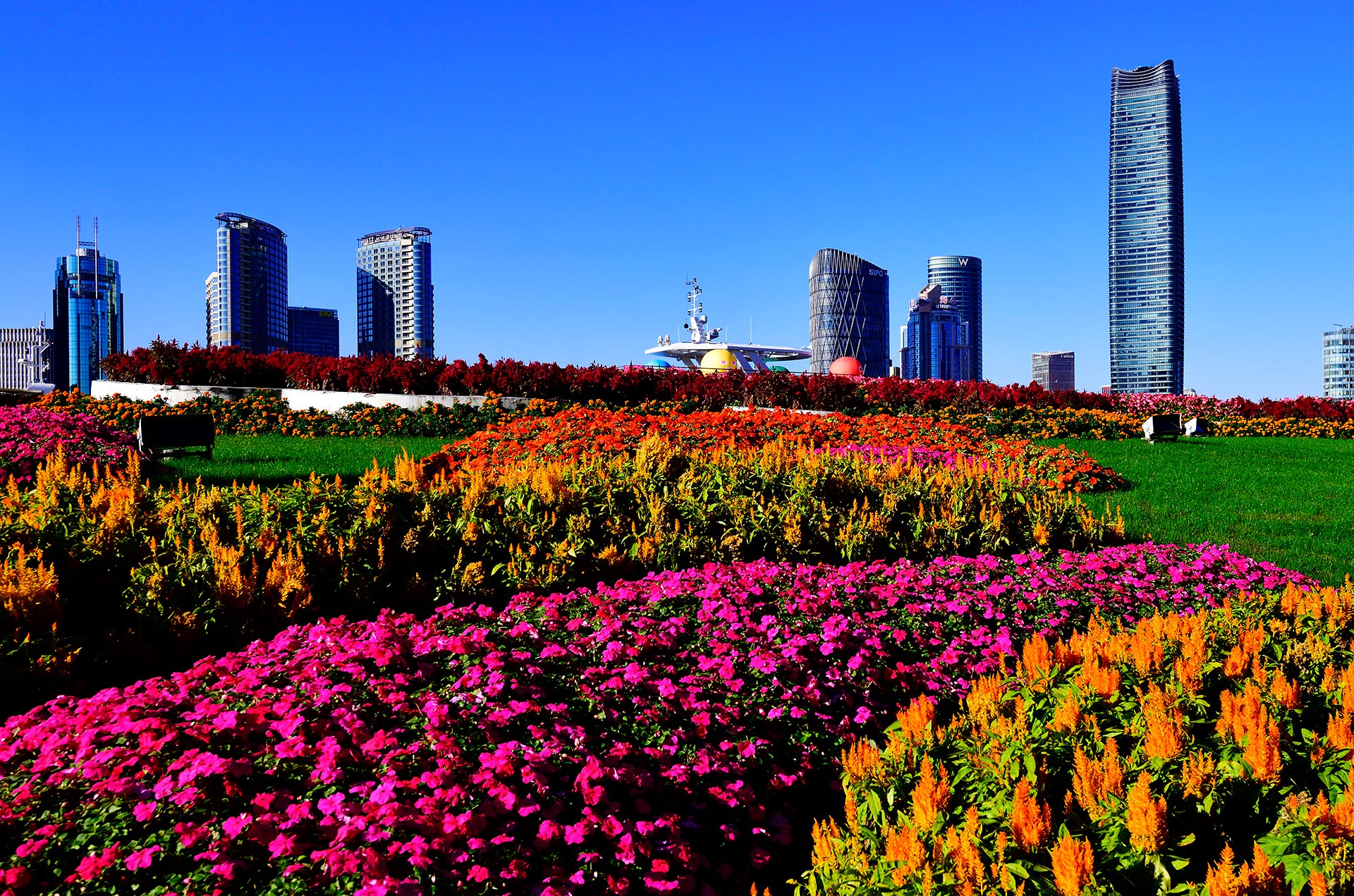 Шанхай в ноябре. Shanghai in Novemder.