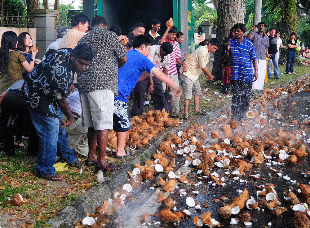 Тайпусам 2010. Coconut Braking. Пенанг. Действо.