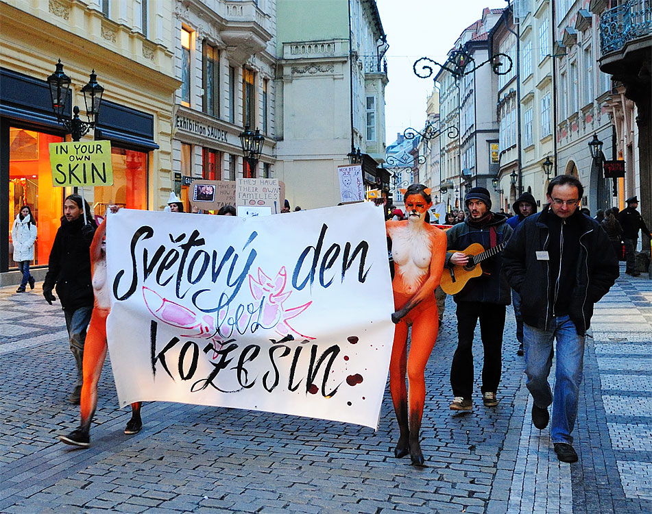 Демонстрация в Праге. Svetovy Den Kozesin.
