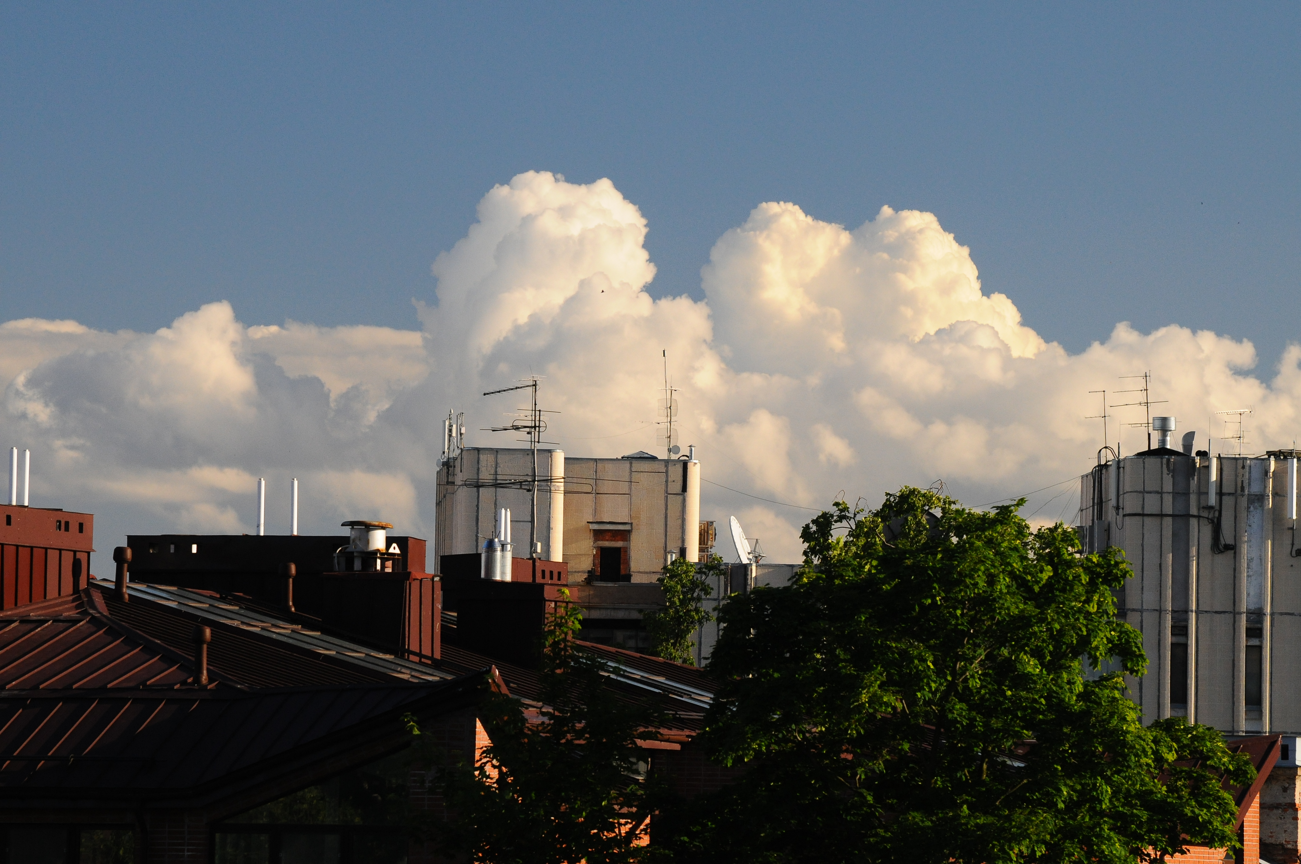 Nikon D300+70-300VR. ISO800, 170mm, f/8, 1/640