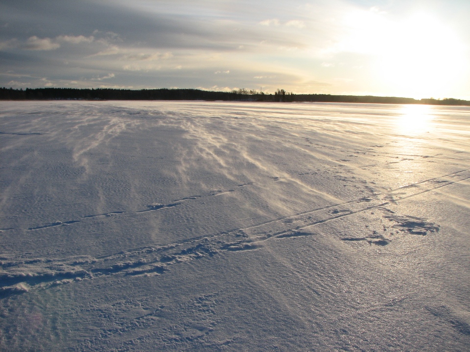 Поземки