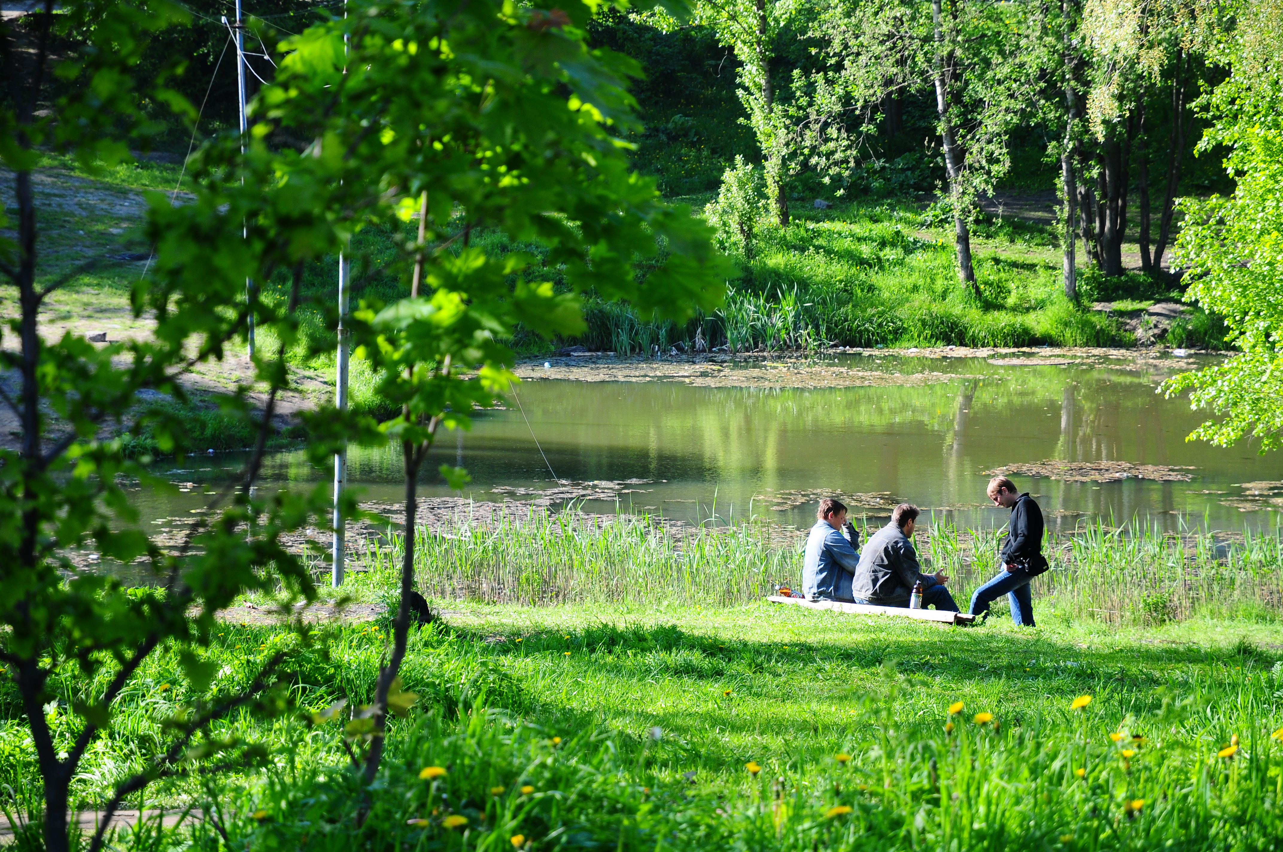 Nikon D300+16-85 VR. Jpeg. ISO200, 85mm, f/5.6, 1/160