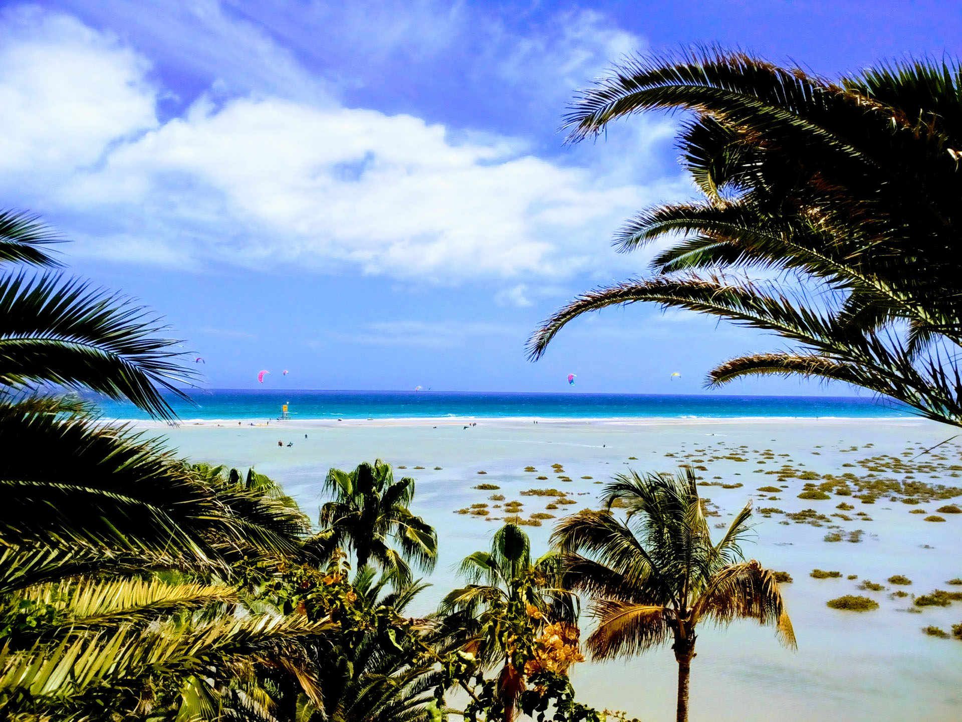 Kiteserfing paradise