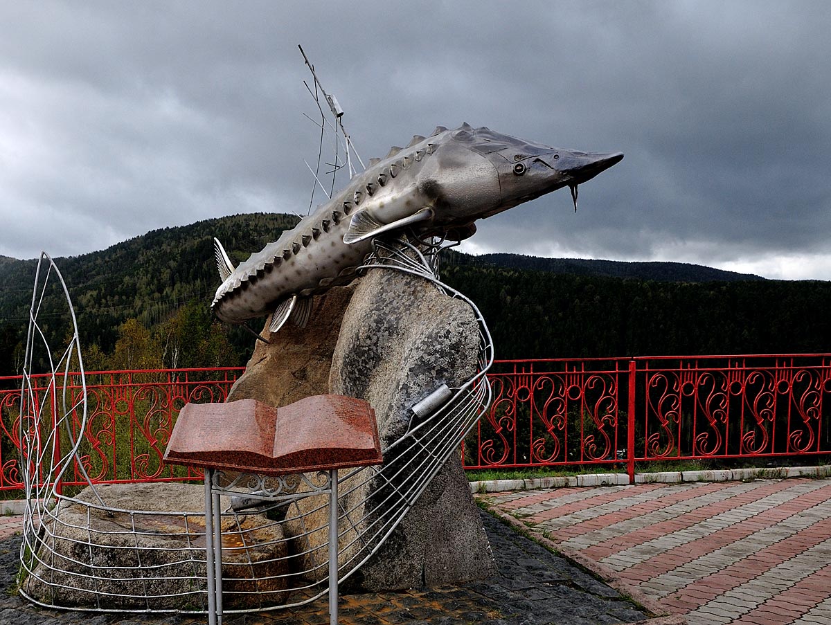 Царь-рыба. Красноярский край.