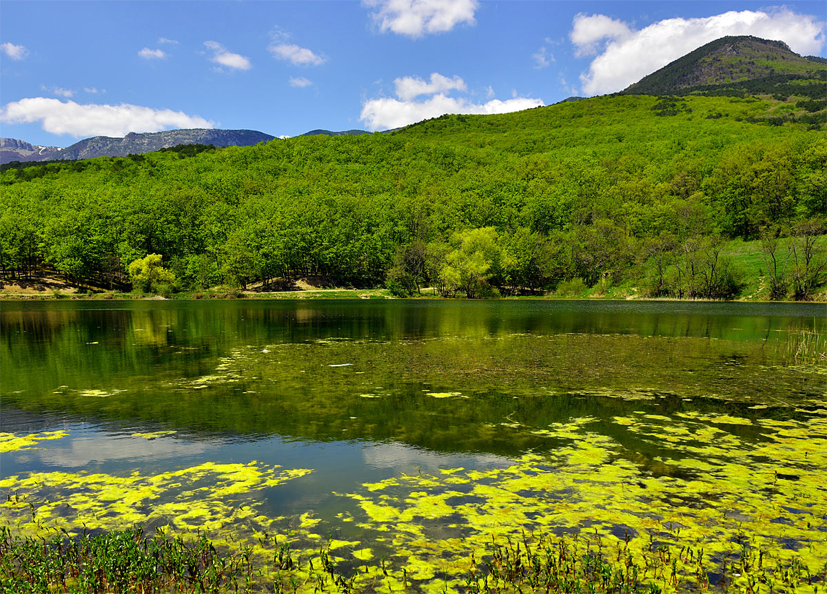 Озеро под Гурзуфом. Крым. Lake near Gurzuf. Crimea.