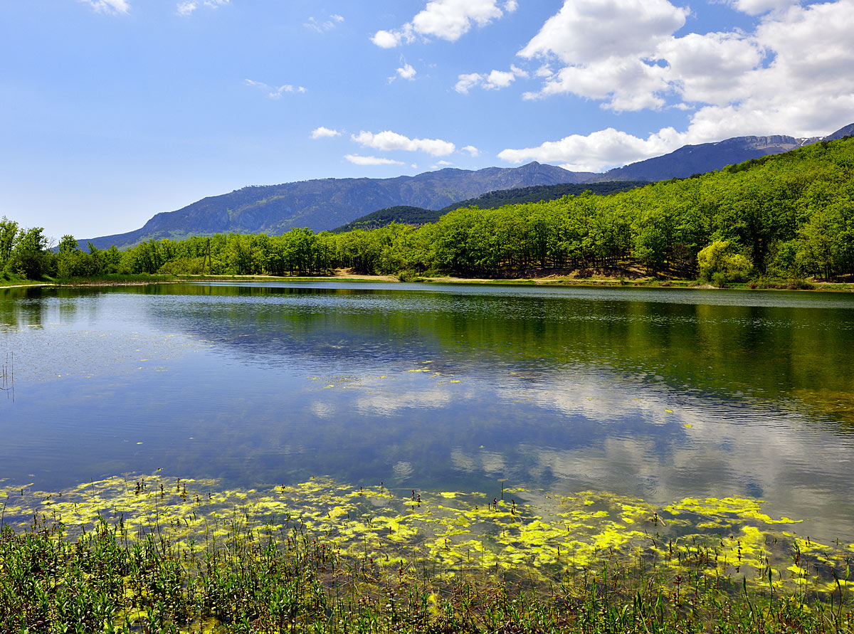 Озеро под Гурзуфом. Крым. Lake near Gurzuf. Crimea. 3