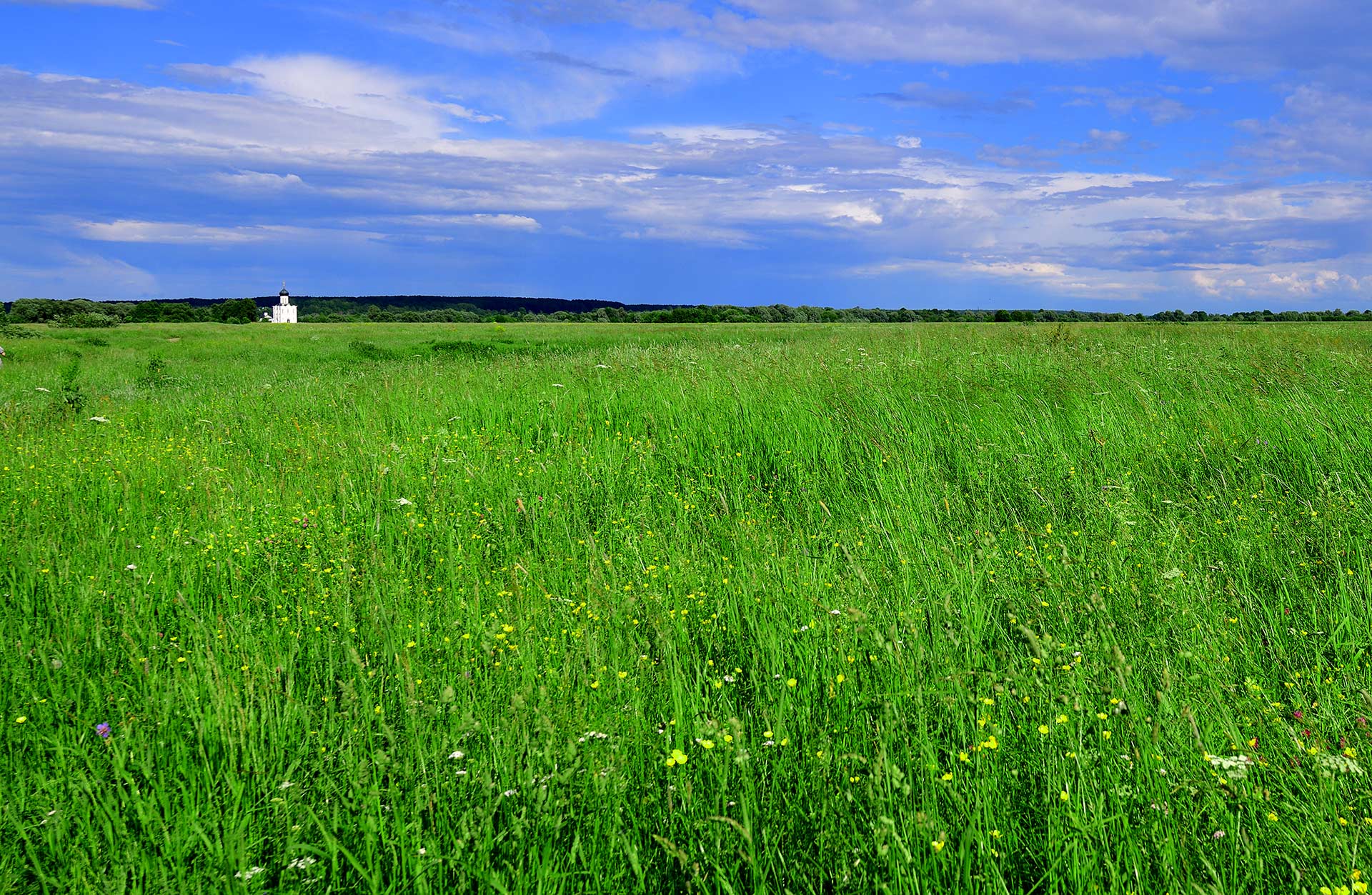 Боголюбовский луг и Церковь Покрова на Нерли. Bogolyubovsky meadow and the Church of the Intercession on the Nerl.