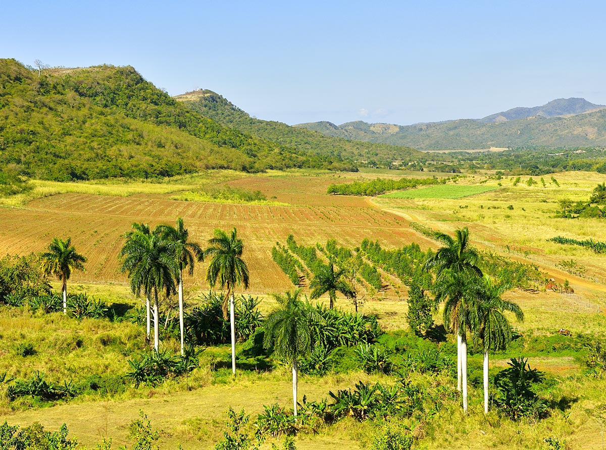 Долина Valle de los Ingenios