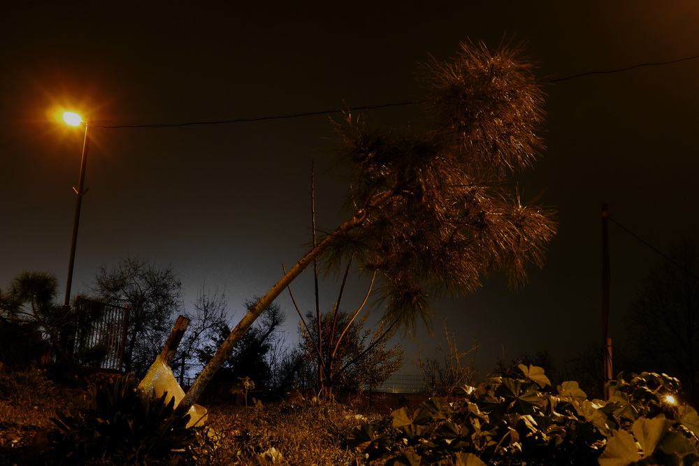 ha-Nurit street, at night-01