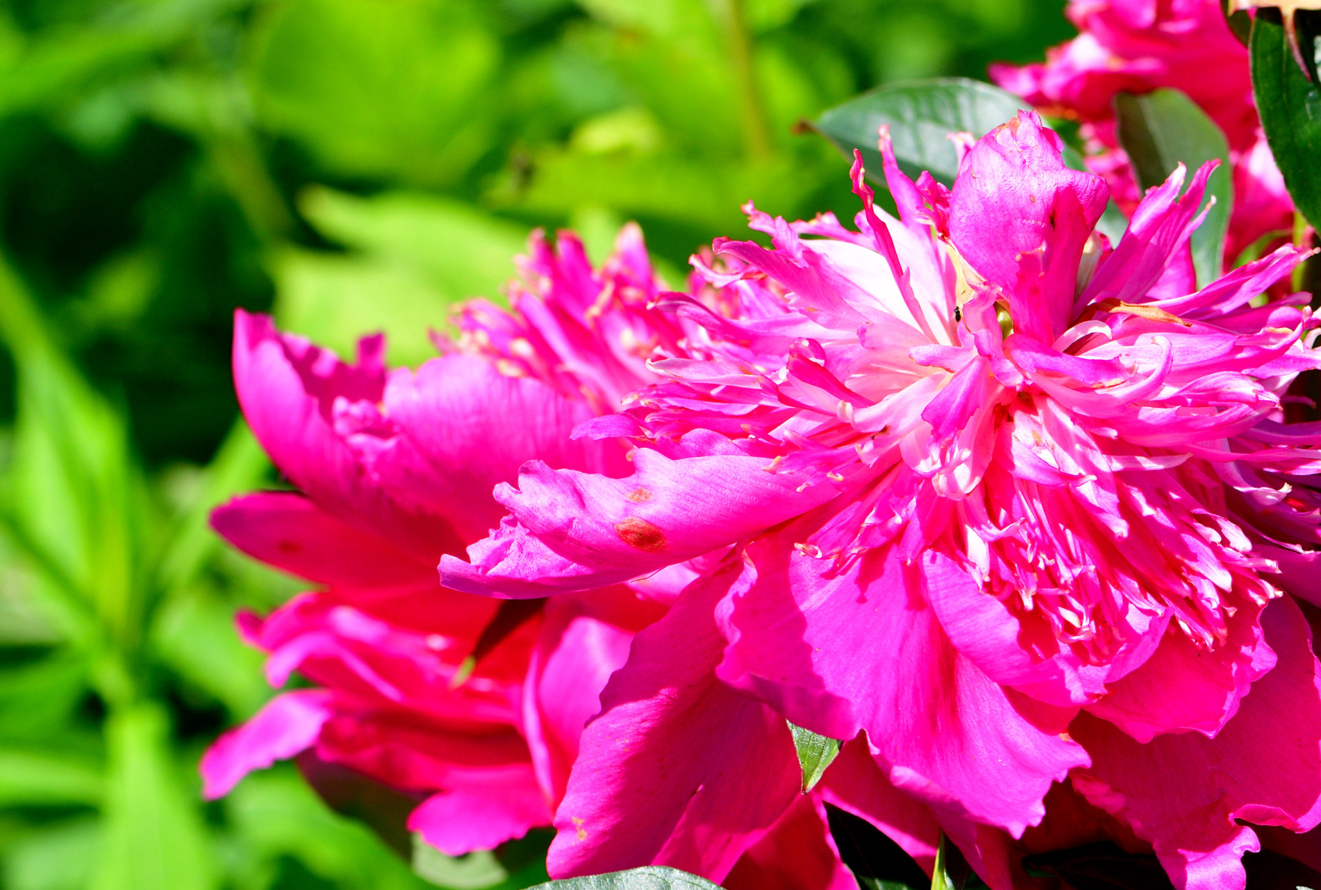 С наступающим!!!