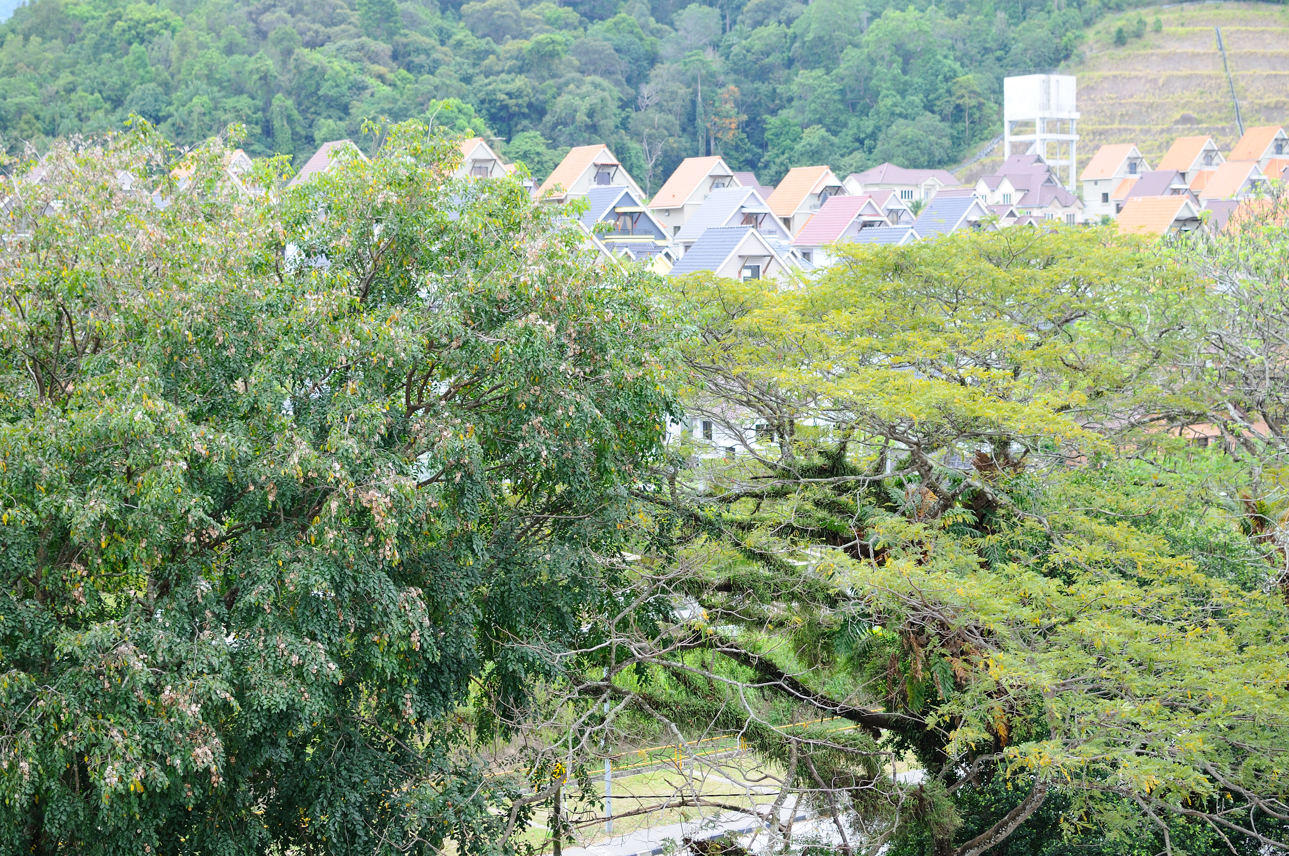 Nikon D300+Nikon AF-S Nikkor 35mm f/1.8. ISO200, 35mm, f/2.8, 1/500 Jpeg