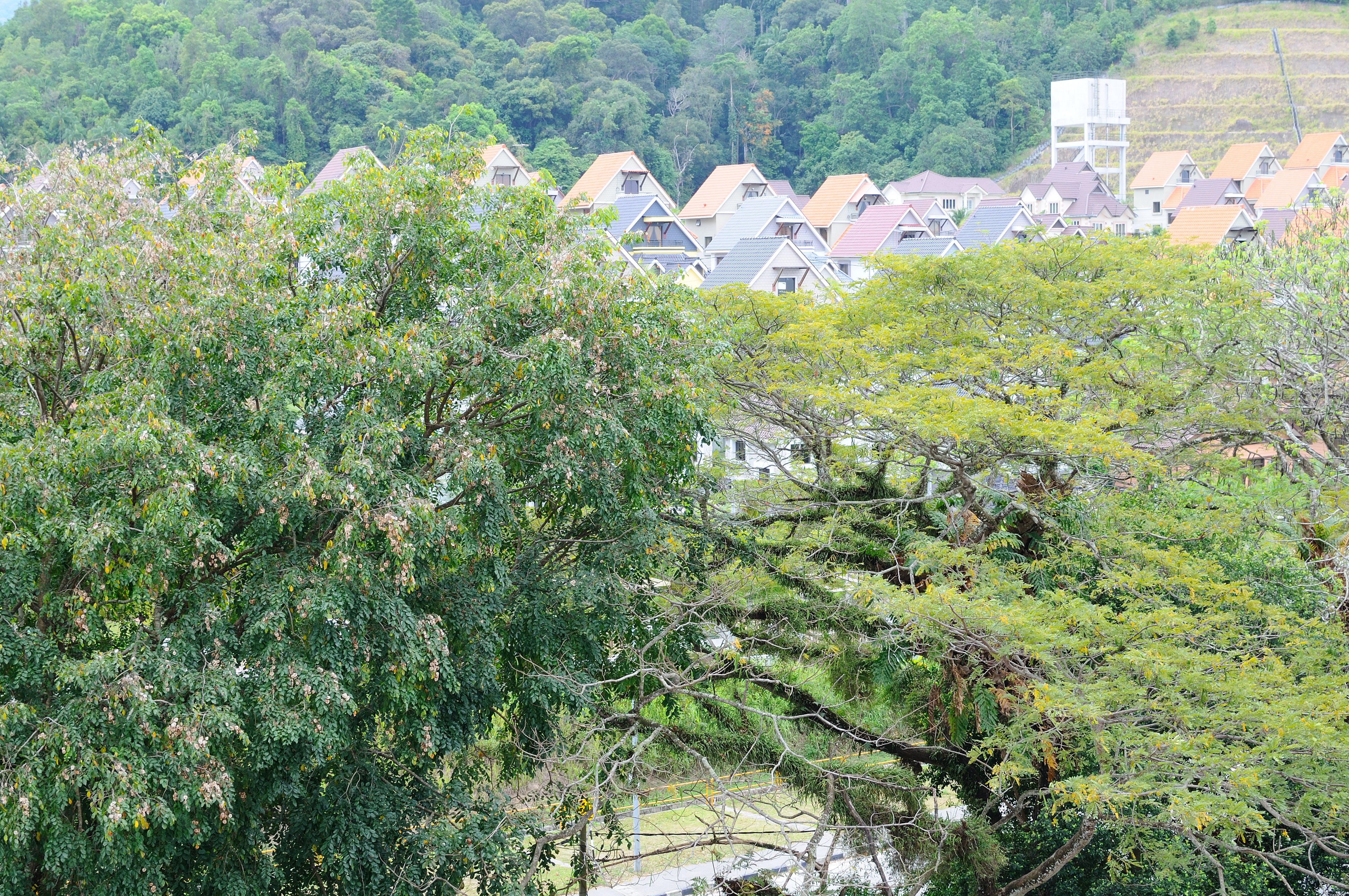 Nikon D300+Nikon AF-S Nikkor 35mm f/1.8. ISO200, 35mm, f/5.6, 1/125 Jpeg