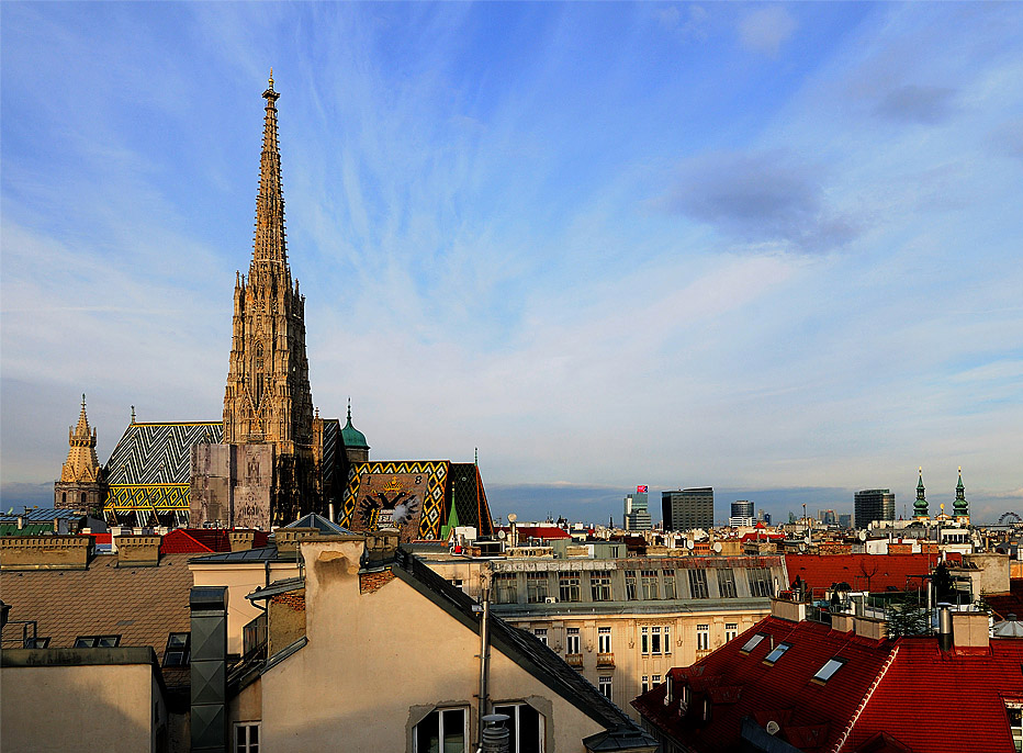 Собор Святого Стефана. Ракурс. Stephansdom. Vienna.