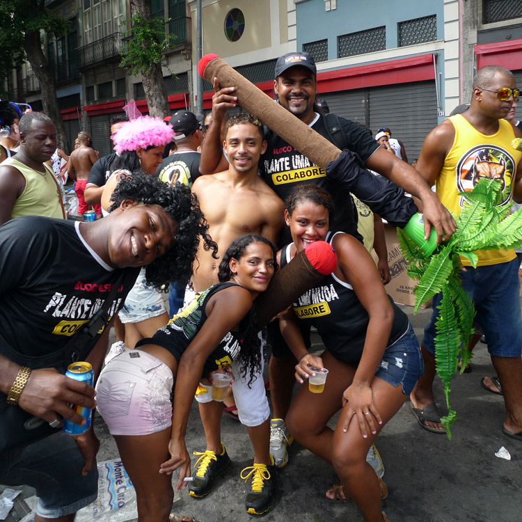 Рио-де-Жанейро. Карнавал 2013. Rio de Janeiro. Carnival 2013. 1