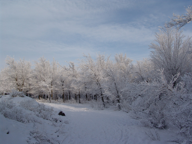 Zima_023