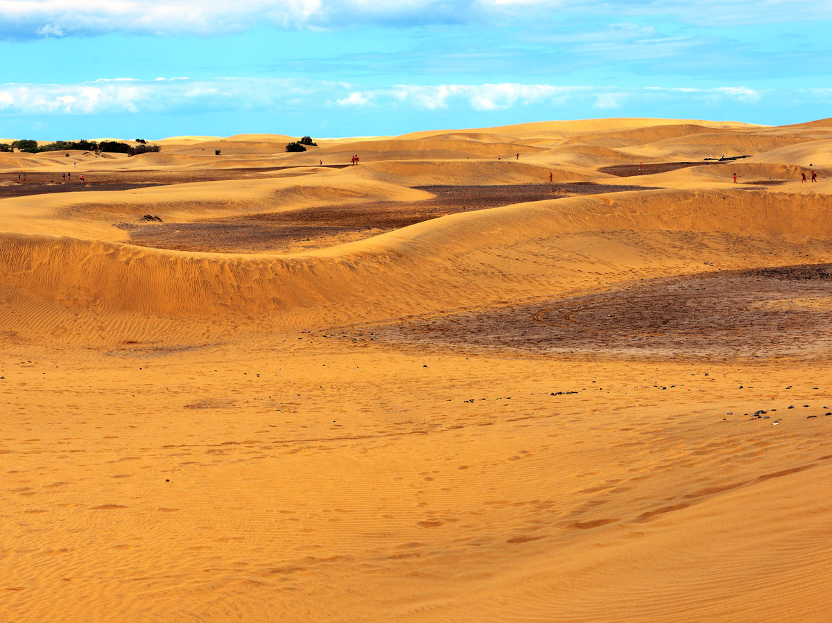 Маспаломас. Дюны. Гран-Канария. Maspalomas. Dune. Gran Canaria. 3