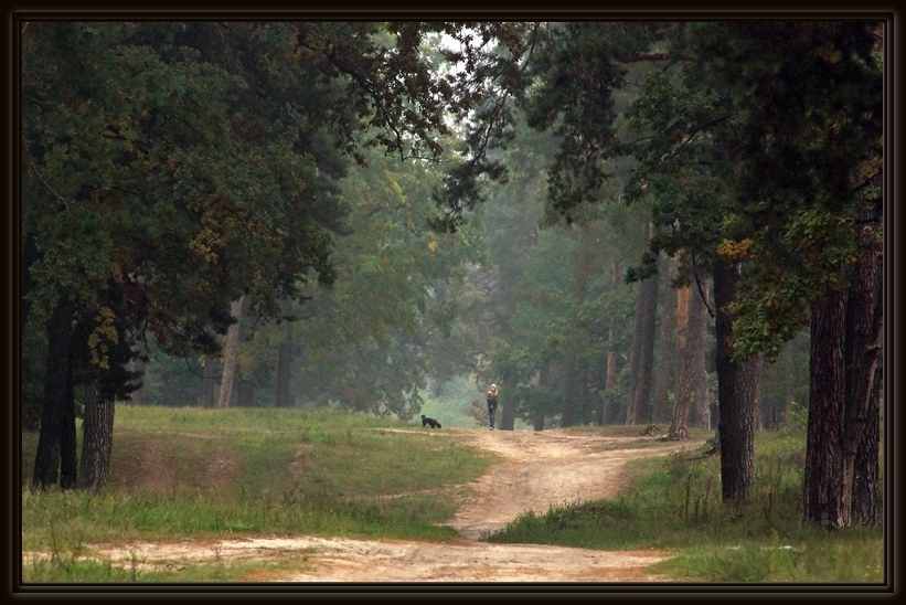 Утренняя прогулка 27.09.2008