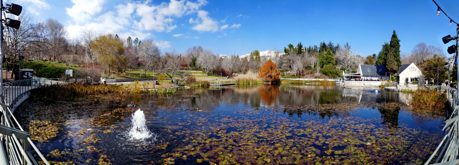 Panasonic TZ100 - panoramka (Botanicheskij sad)