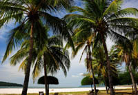 Пляж Лангкави. Langkawi Beach.