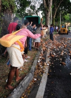 Тейпусам 2010. Пенанг. Coconut Braking.