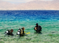 Дайверы. Эйлат. Eilat.