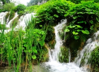 Плитвицкие озёра. Plitvice Lake.