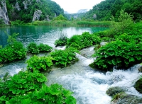 Плитвицкие озёра. Plitvice Lakes. 17.