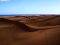 Дюны Маспаломаса. Maspalomas Dunes. 8