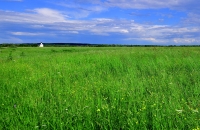 Боголюбовский луг и Церковь Покрова на Нерли. Bogolyubovsky meadow and the Church of the Intercession on the Nerl.