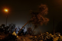 ha-Nurit street, at night-01