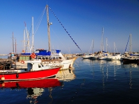 В пафосном порту. Pafos Port.